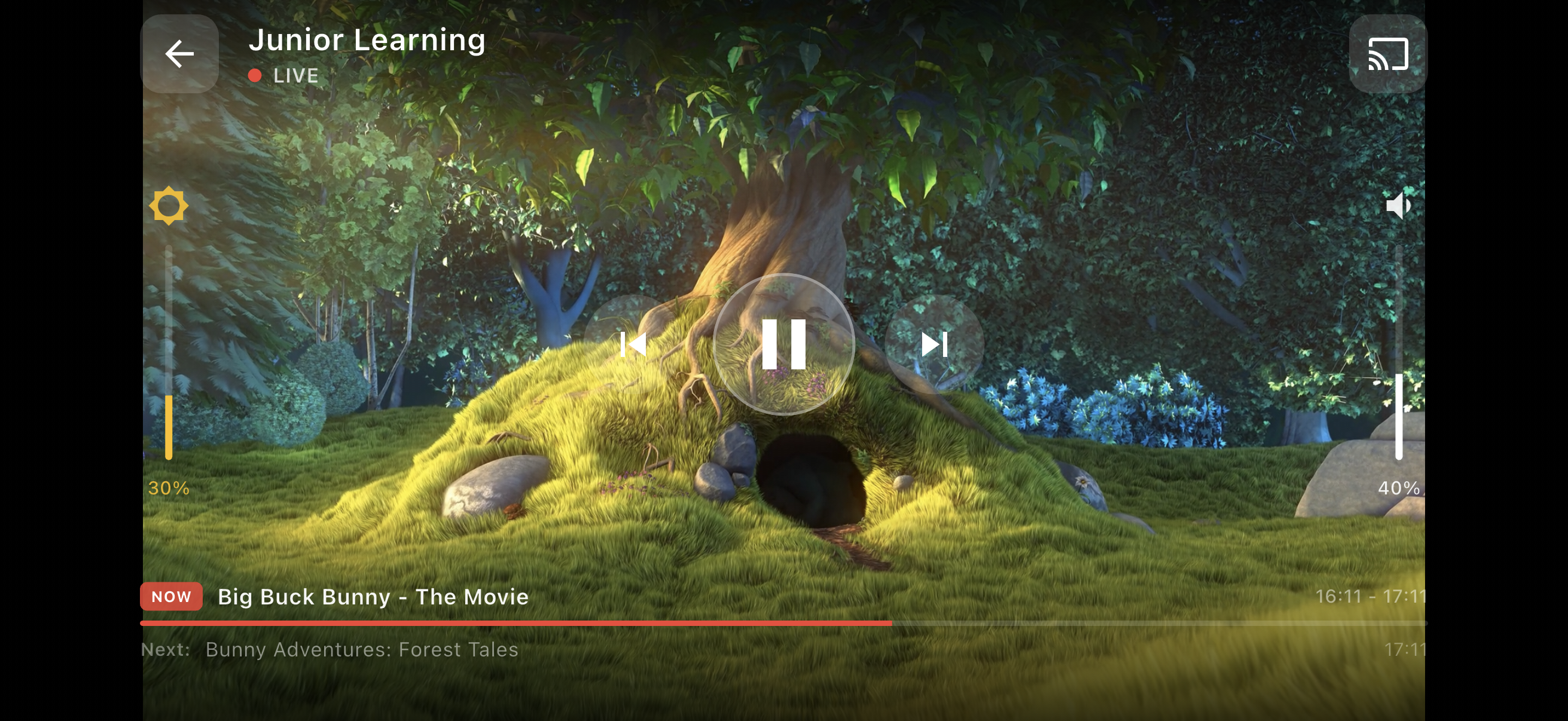 Video player